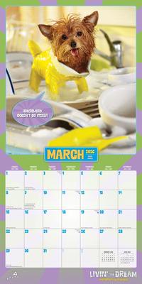 Show full view: Avanti Livin' the Dream 2026 Square Flap Foil Wall Calendar slide 3 of 4