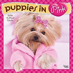 Puppies in Pink 2026 Square Flap Wall Calendar