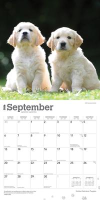 Show full view: Golden Retriever Puppies 2026 Square Flap Wall Calendar slide 4 of 4