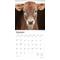 Show in main carousel: Baby Moo Moos 2026 Square Flap Wall Calendar slide 3 of 4