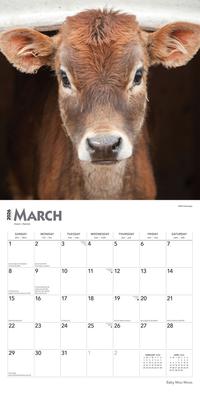 Show full view: Baby Moo Moos 2026 Square Flap Wall Calendar slide 3 of 4