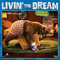 Avanti Livin' the Dream 2026 Square Flap Foil Wall Calendar