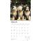Show in main carousel: Old English Sheepdogs 2026 Square Flap Wall Calendar slide 3 of 4