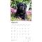 Show in main carousel: Labrador Retriever Puppies, Black 2026 Square Flap Wall Calendar slide 3 of 4