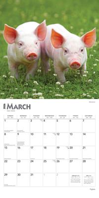 Show full view: Piglets 2026 Square Flap Wall Calendar slide 3 of 4