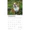 Show in main carousel: Bulldogs 2026 Square Flap Wall Calendar slide 4 of 4