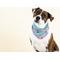 Show in main carousel: Pink Papyrus Tillie Dog Bandana, Large slide 3 of 3
