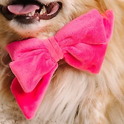 Pink Papyrus Babe Bow Dog Collar Accessory, Valentina slide 2 of 4