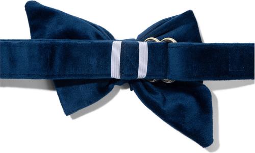 Show full view: Pink Papyrus Babe Bow Dog Collar Accessory, Channing slide 2 of 4