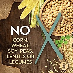 Wholesomes Sensitive Skin & Stomach Small Breed Salmon Protein Dry Dog Food, 12-lb bag slide 2 of 7