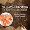 Show in main carousel: Wholesomes Sensitive Skin & Stomach Small Breed Salmon Protein Dry Dog Food, 12-lb bag slide 4 of 9
