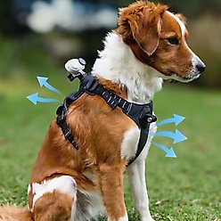 Insta360 IN3 AC Camera Mount Dog Harness, Small: 11 to 18-in chest slide 2 of 6