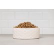 10 Strawberry Street Clermont Paw Embossed Dog Bowl, Set of 2
