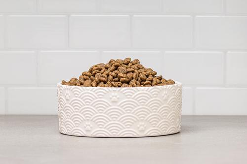 Show full view: 10 Strawberry Street Embossed Wave Paw Cat Bowl, Set of 2, White, Small slide 4 of 5
