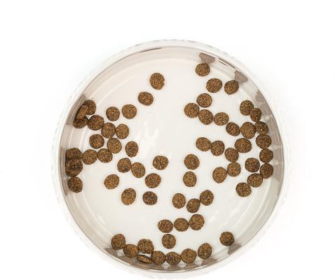 Show full view: 10 Strawberry Street Embossed Wave Paw Cat Bowl, Set of 2, White, Small slide 3 of 5