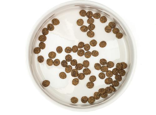 Show full view: 10 Strawberry Street Clermont Paw Embossed Cat Bowl, Set of 2, White, Small slide 3 of 5