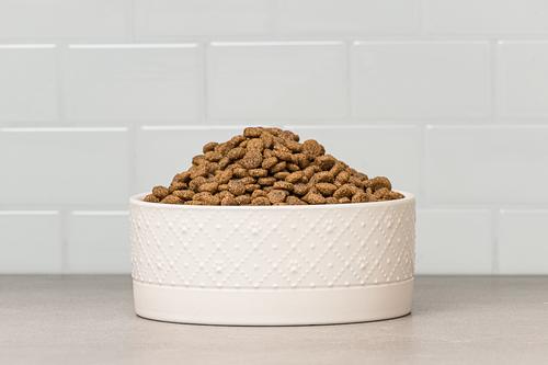 Show full view: 10 Strawberry Street Clermont Paw Embossed Cat Bowl, Set of 2, White, Small slide 4 of 5