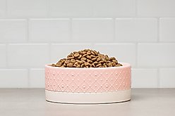 10 Strawberry Street Clermont Paw Embossed Dog Bowl, Set of 2, Pink, Large slide 2 of 5