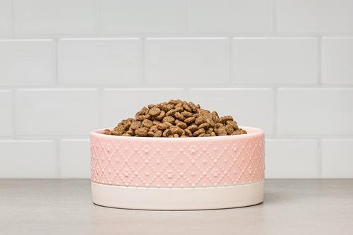 Show full view: 10 Strawberry Street Clermont Paw Embossed Cat Bowl, Set of 2, Pink, Small slide 5 of 6