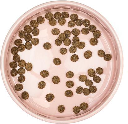 Show full view: 10 Strawberry Street Clermont Paw Embossed Cat Bowl, Set of 2, Pink, Small slide 3 of 6