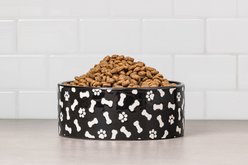 10 Strawberry Street Bone & Paw Pattern Dog Bowl, Set of 2, Black, Large slide 2 of 4