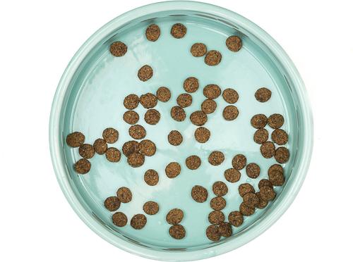 Show full view: 10 Strawberry Street Wax Resist Face Pattern Cat Bowl, Set of 2, Blue/Black, Small slide 3 of 4