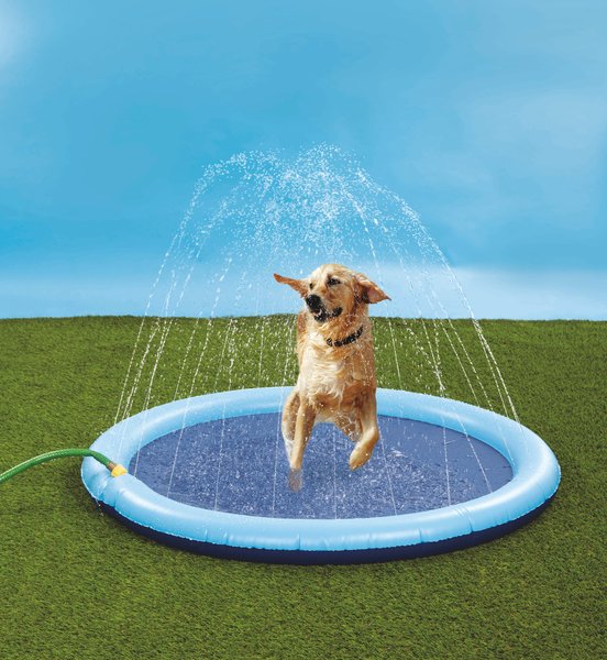 Etna Dog Splash Pad Sprinkler, Blue, 51-in