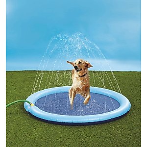 Etna Dog Splash Pad Sprinkler, Blue, 51-in
