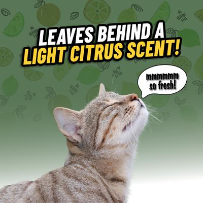 Show full view: Chemical Guys Ghosted Fresh Citrus Scent Pet Odor Eliminator, 32-fl oz bottle slide 5 of 9