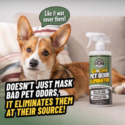 Show full view: Chemical Guys Ghosted Fresh Citrus Scent Pet Odor Eliminator, 32-fl oz bottle slide 3 of 9
