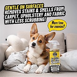Chemical Guys Furbidden Pet Stain Remover, 32-fl oz bottle slide 2 of 4