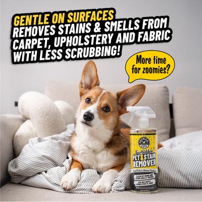 Show full view: Chemical Guys Furbidden Pet Stain Remover, 32-fl oz bottle slide 3 of 4