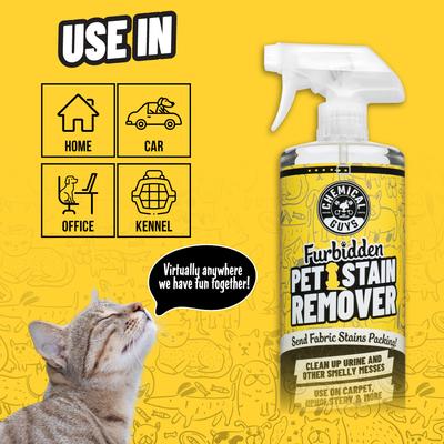 Show full view: Chemical Guys Furbidden Pet Stain Remover, 32-fl oz bottle slide 4 of 4