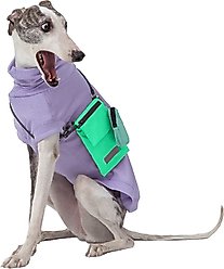 Pebot Waterproof Dog & Cat Crossbody Companion Bag, Teal
