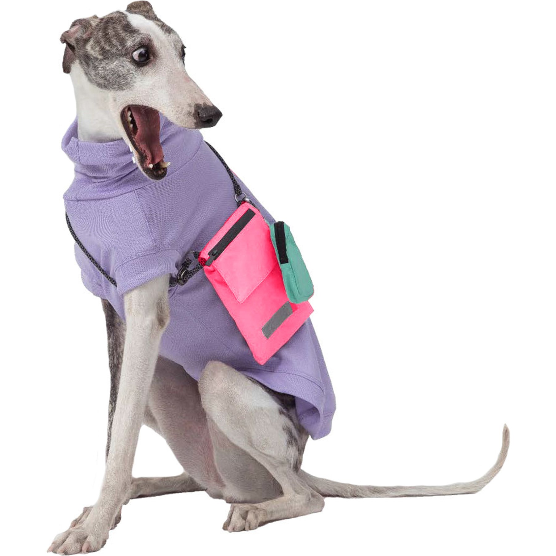 Pebot Waterproof Dog & Cat Crossbody Companion Bag, Pink