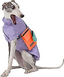 Pebot Waterproof Dog & Cat Crossbody Companion Bag, Orange
