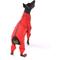 Show in main carousel: Pebot Rey Dog & Cat Waterproof Rainsuit, Size 8 slide 3 of 6
