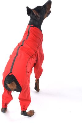 Show full view: Pebot Rey Dog & Cat Waterproof Rainsuit, Size 8 slide 3 of 6