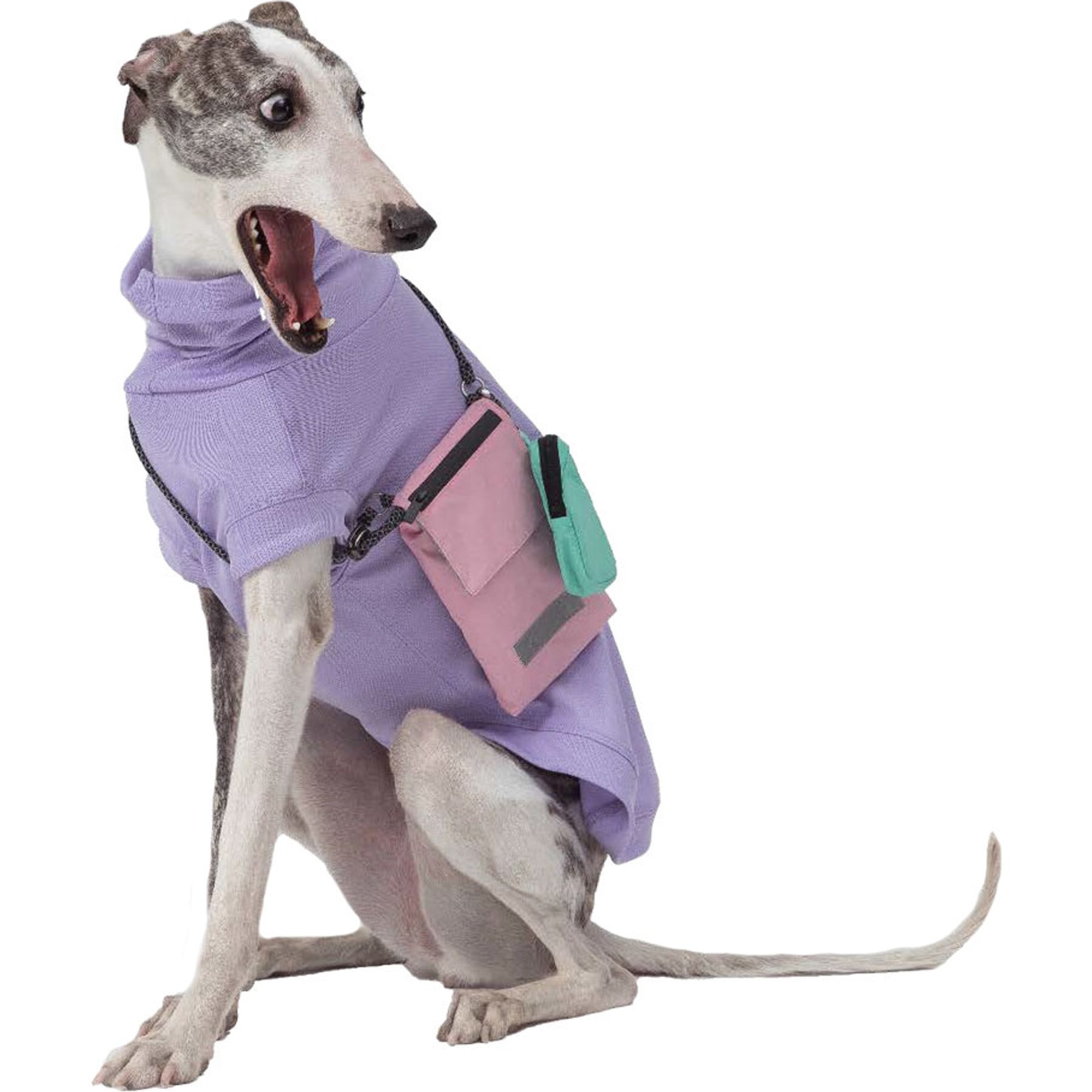 Pebot Waterproof Dog & Cat Crossbody Companion Bag, Lavender
