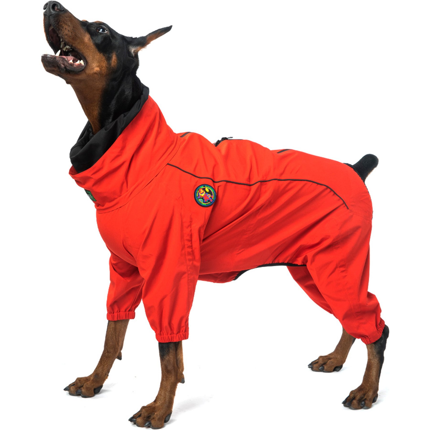 Pebot Rey Dog & Cat Waterproof Rainsuit, Size 12