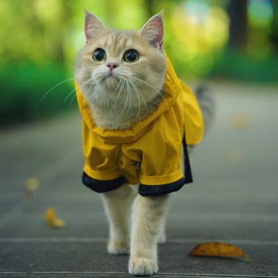Show full view: Pebot Uniforce Dog & Cat Premium Waterproof Raincoat, Yellow, Size 26 slide 5 of 6