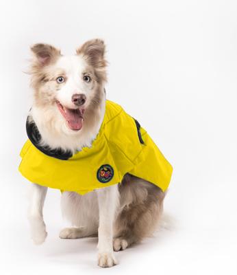 Show full view: Pebot Uniforce Dog & Cat Premium Waterproof Raincoat, Yellow, Size 26 slide 4 of 6