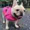 Show in main carousel: Pebot Uniforce Dog & Cat Premium Waterproof Raincoat, Pink, Size 10 slide 5 of 7
