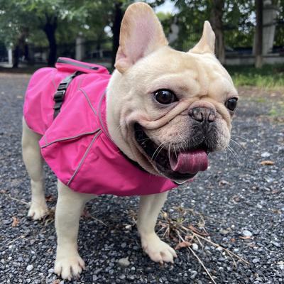 Show full view: Pebot Uniforce Dog & Cat Premium Waterproof Raincoat, Pink, Size 10 slide 5 of 7