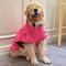 Show in main carousel: Pebot Uniforce Dog & Cat Premium Waterproof Raincoat, Pink, Size 10 slide 6 of 7