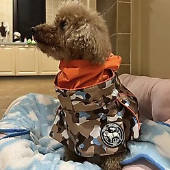 Pebot Uniforce Dog & Cat Premium Waterproof Raincoat, Camo, Size 24 slide 2 of 5