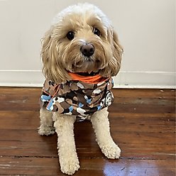 Pebot Uniforce Dog & Cat Premium Waterproof Raincoat, Camo, Size 24