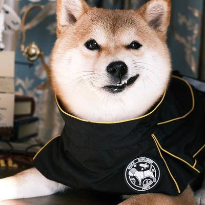 Show full view: Pebot Uniforce Dog & Cat Premium Waterproof Raincoat, Black, Size 10 slide 7 of 7