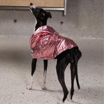 Show full view: Pebot Alita Hooded Dog & Cat Lightweight Waterproof Rain Jacket, Pink Metallic, Size 20 slide 4 of 8