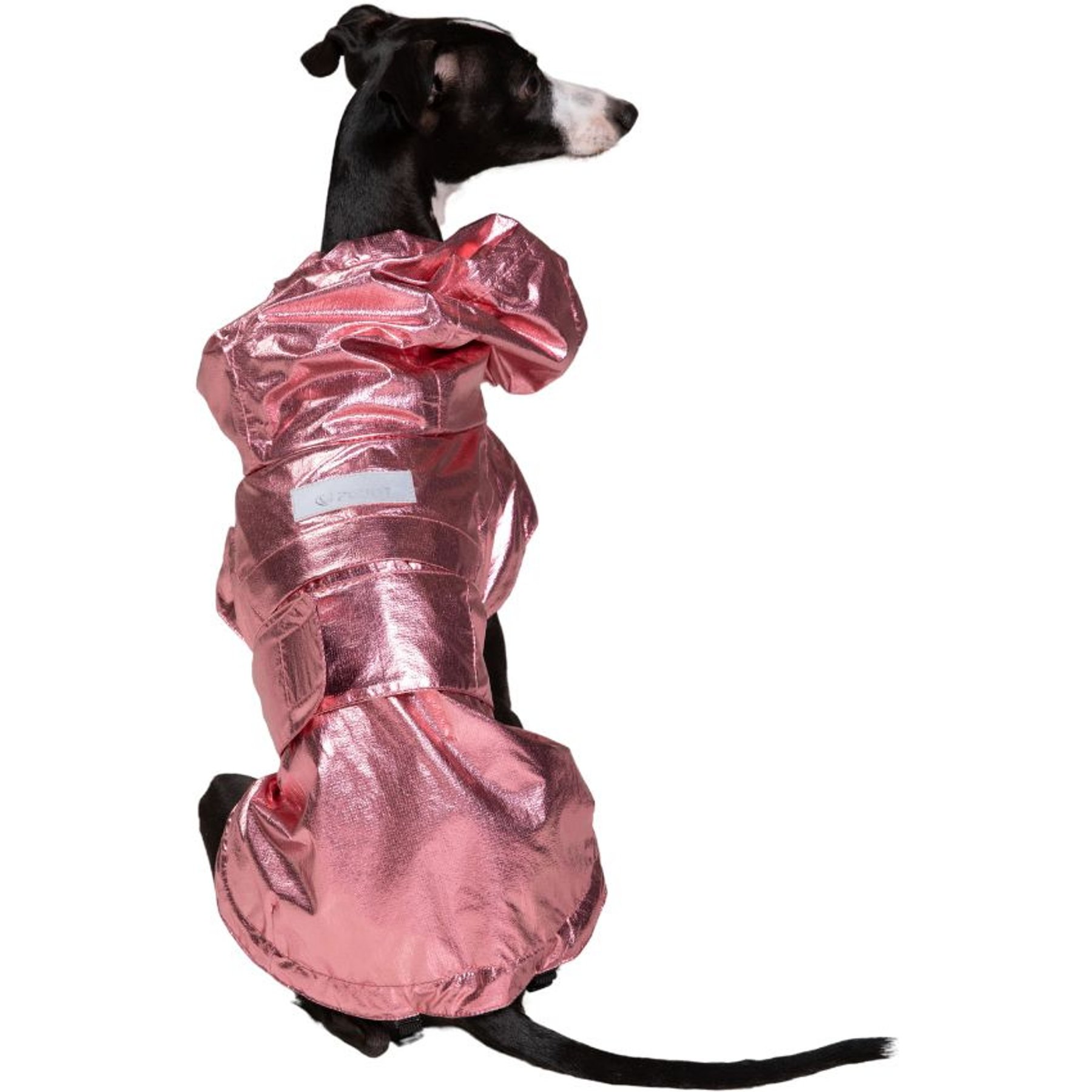 Pebot Alita Hooded Dog & Cat Lightweight Waterproof Rain Jacket, Pink Metallic, Size 16